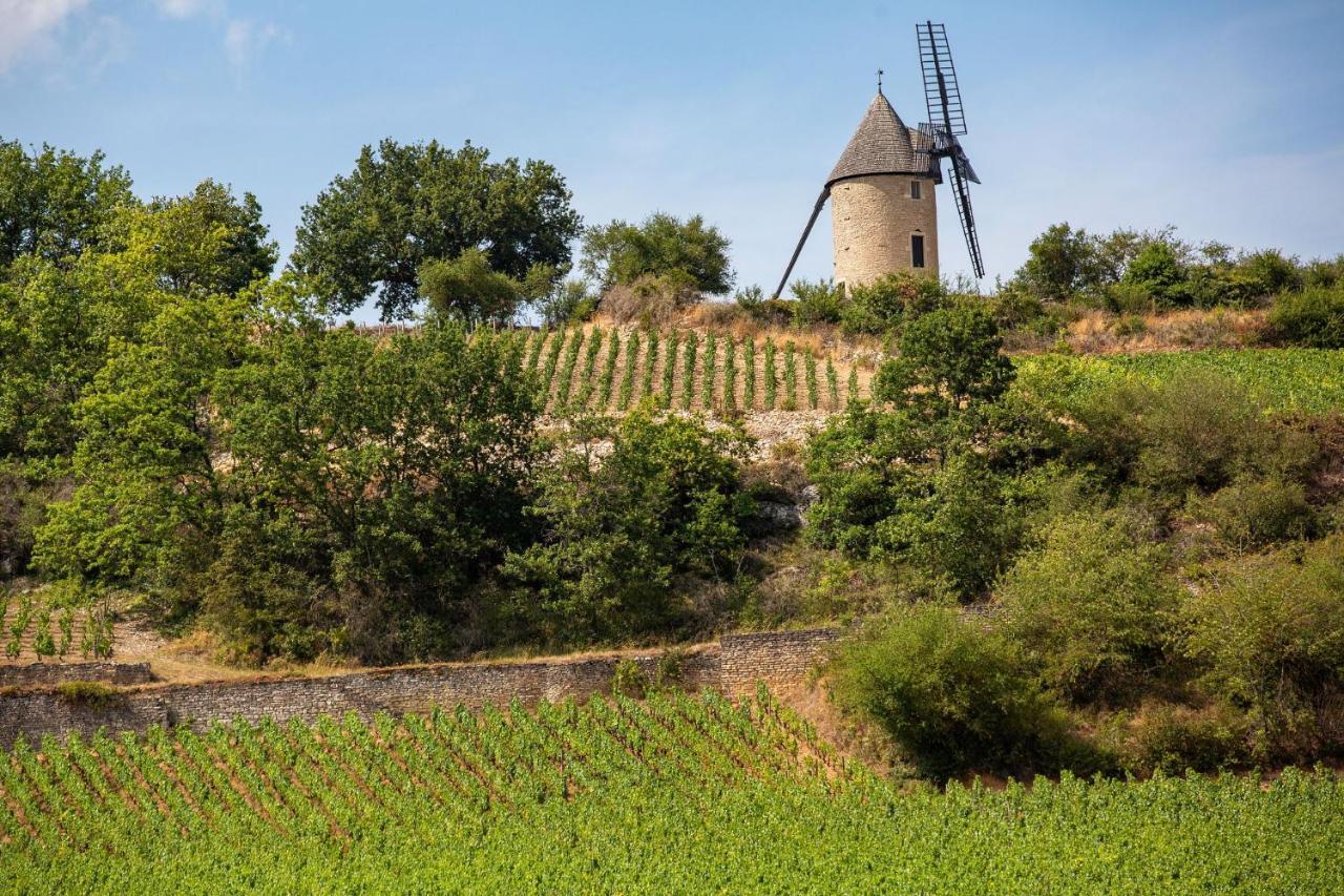 Camping De Santenay ซองเตอเนย์ ภายนอก รูปภาพ