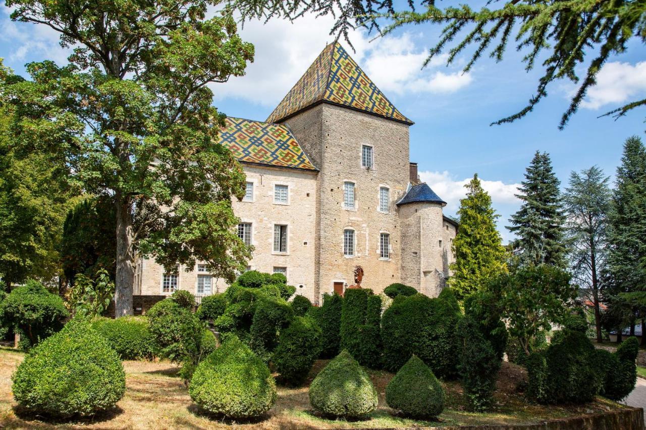 Camping De Santenay ซองเตอเนย์ ภายนอก รูปภาพ