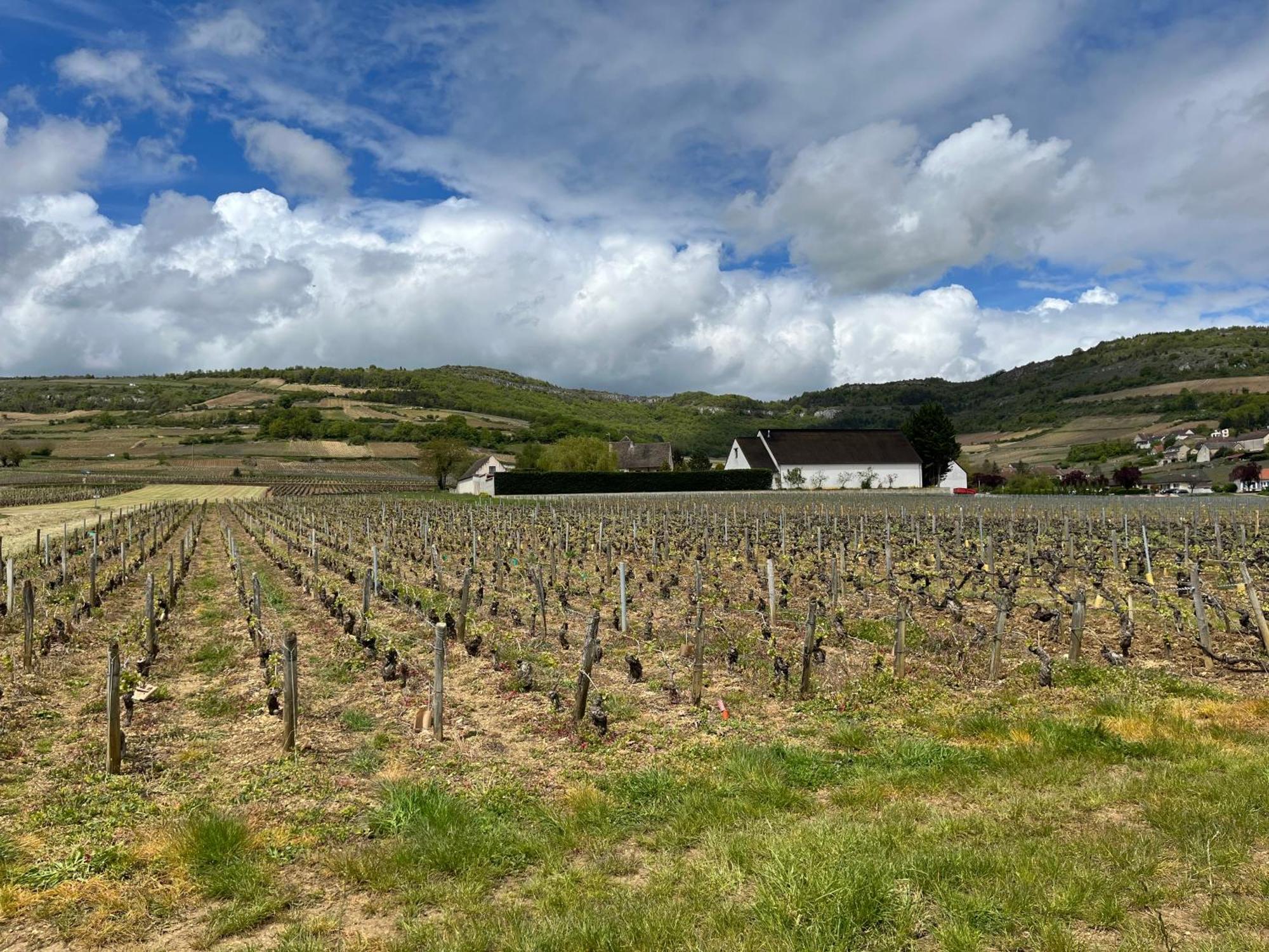 Camping De Santenay ซองเตอเนย์ ภายนอก รูปภาพ